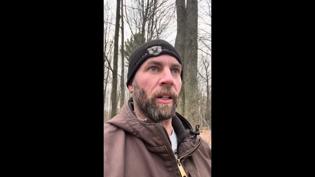 Maple Sap Lines on Flat Ground