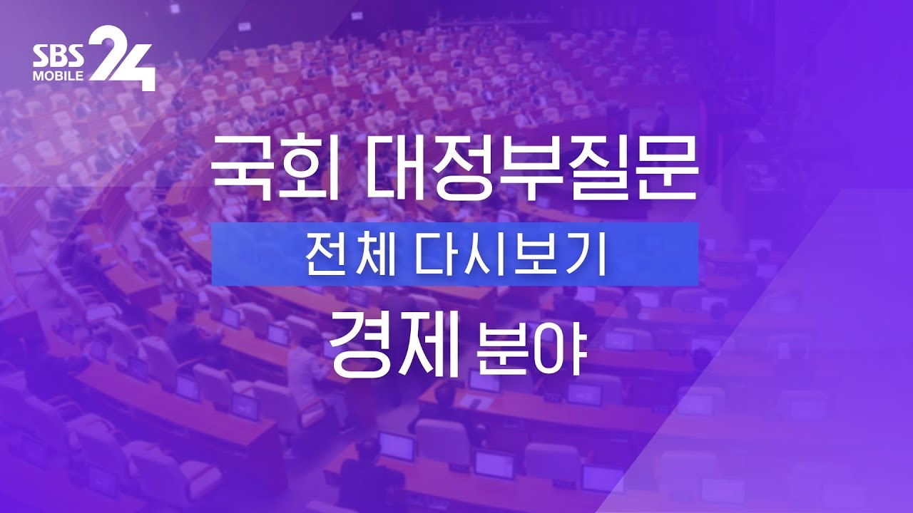 [국회 대정부질문] 경제 분야 풀영상｜SBS 모바일24