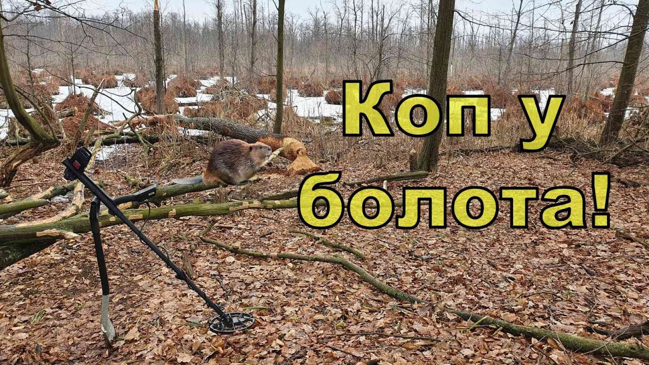 Находки из прошлого! Коп у болота с NOKTA Anfibio Multi! Фильм 121