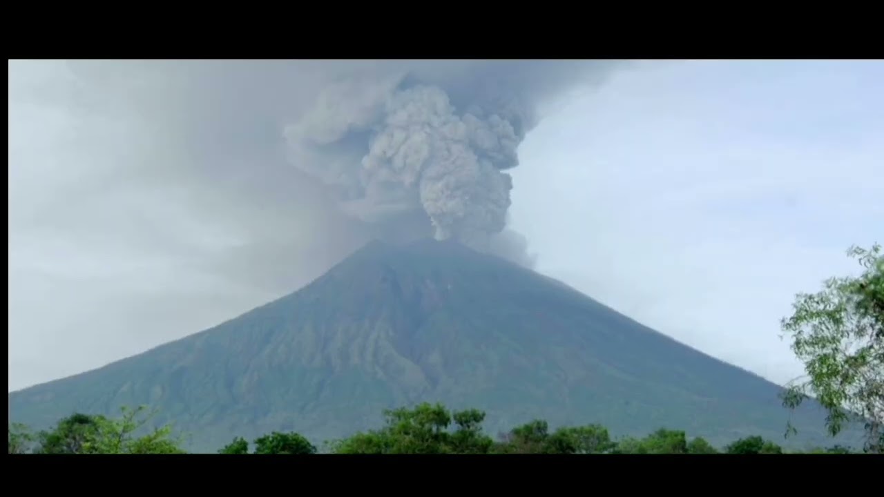 world environment day documentary 2023#trending #viral #environment