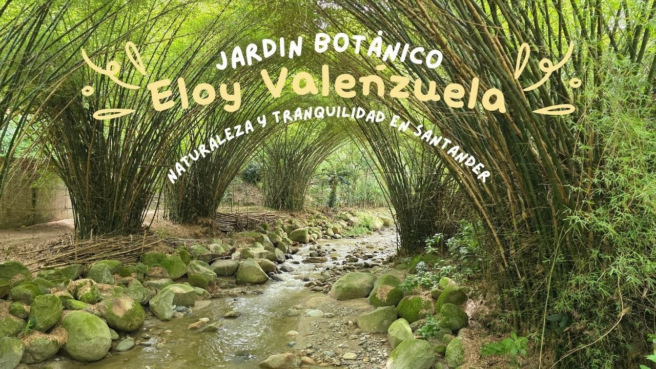 Jardín Botánico Eloy Valenzuela: Naturaleza y tranquilidad en Santander