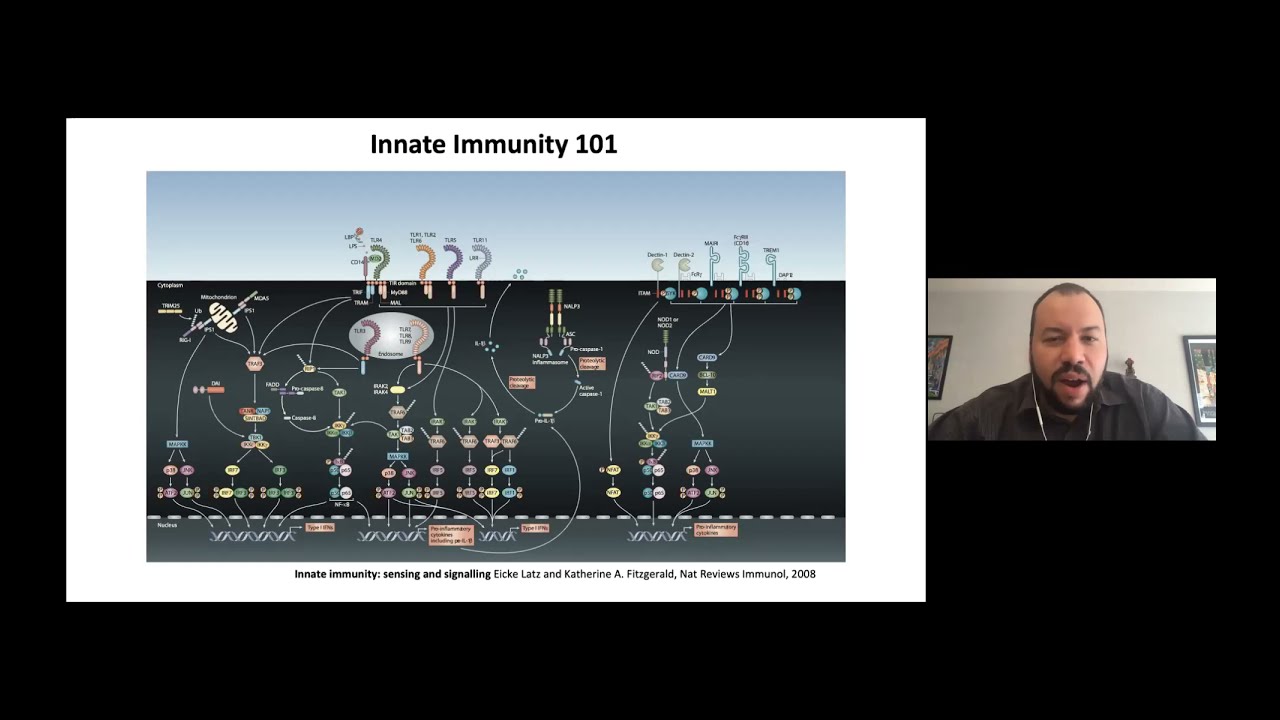 Summit Speaker Series: Increasing Gene Therapy Vector Production Using Viral Sensitizer Molecules