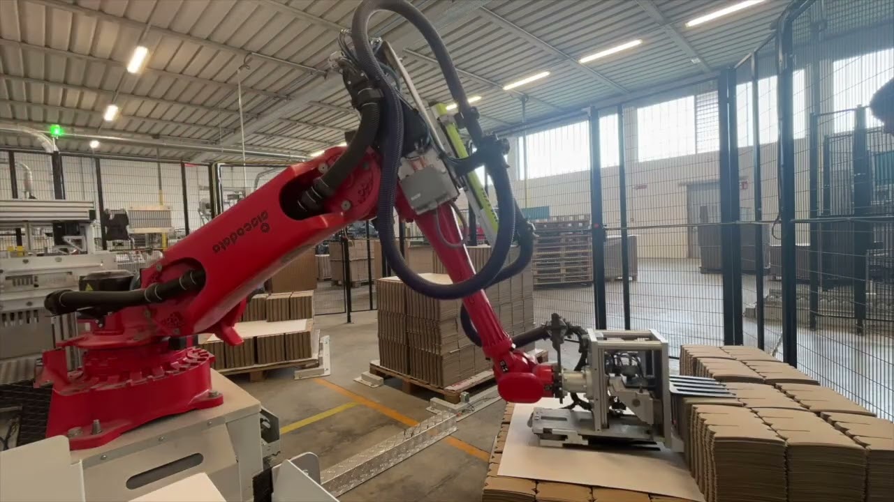 Robot  for die cut machine automation + second area for bee nest packaging and BIG BOX palletizing