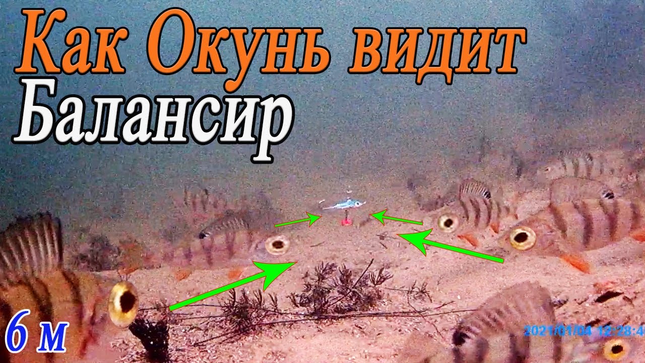 Игра Окуневых Балансиров под водой! Зимняя рыбалка, ловля окуня