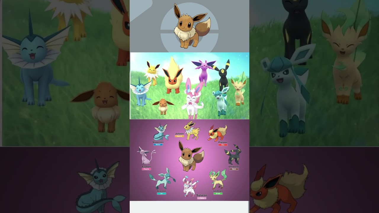 Eevee v skratke #Pok&eacute;monSK #Pok&eacute;monCZ #Pok&eacute;monkarty