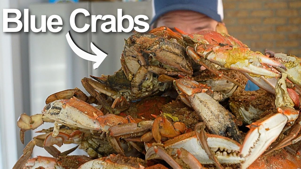 I Compared Maryland and Louisiana Blue Crabs… Here’s the Truth