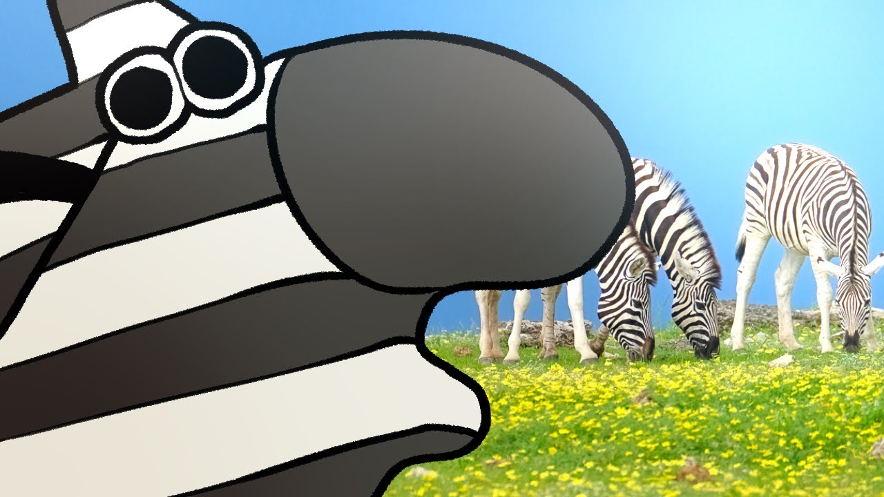 Zoolings - Animated Short