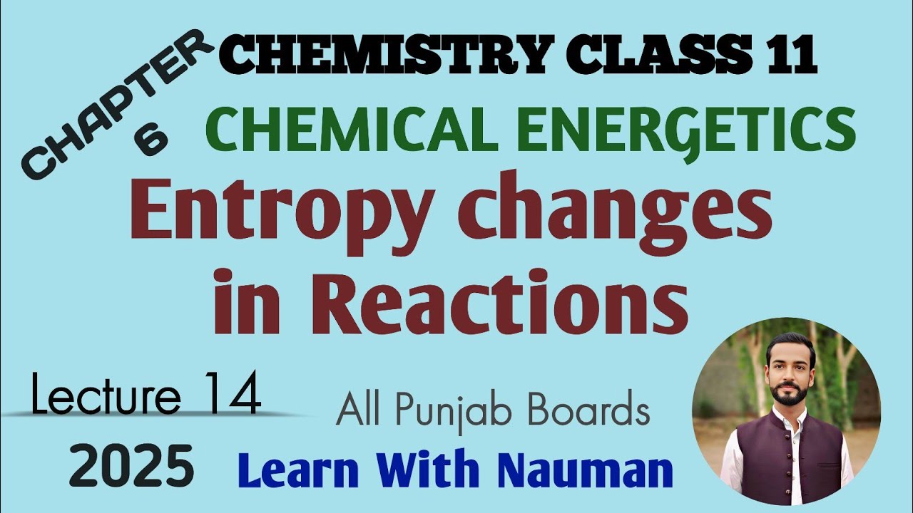 Entropy Changes in Reactions || Chapter 6 || Chemical Energetics || Chemistry 11