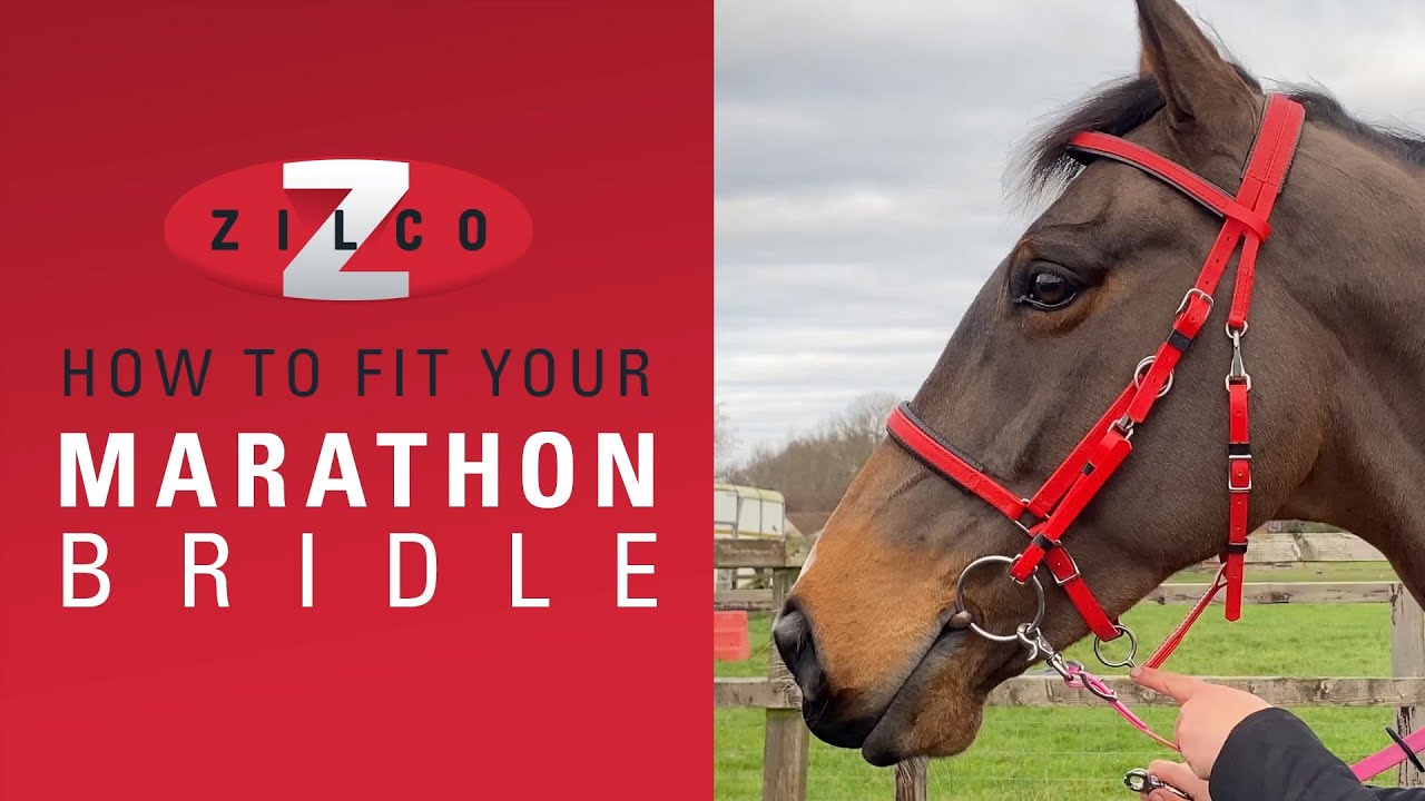 How to correctly fit your Zilco Marathon Bridle and convert from Bridle to Halter