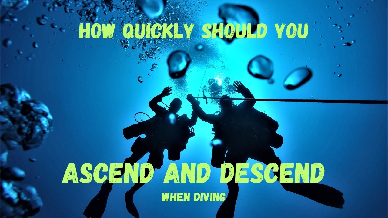 How QUICKLY should you ASCEND and DESCEND when SCUBA DIVING #scuba #diving #safety #divetraining