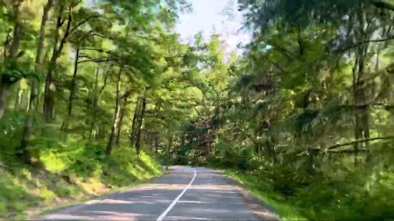 Kosmaj driving