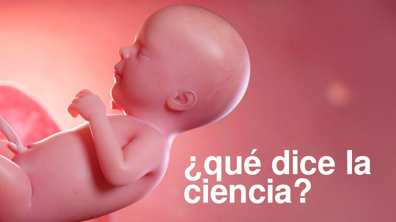 Cómo hacer que tu hijo salga gay (científicamente)