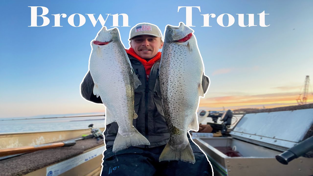 Milwaukee Brown Trout Fishing (10+ FISH CAUGHT)!