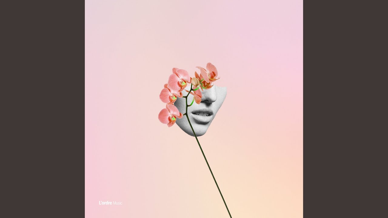 Ambre
