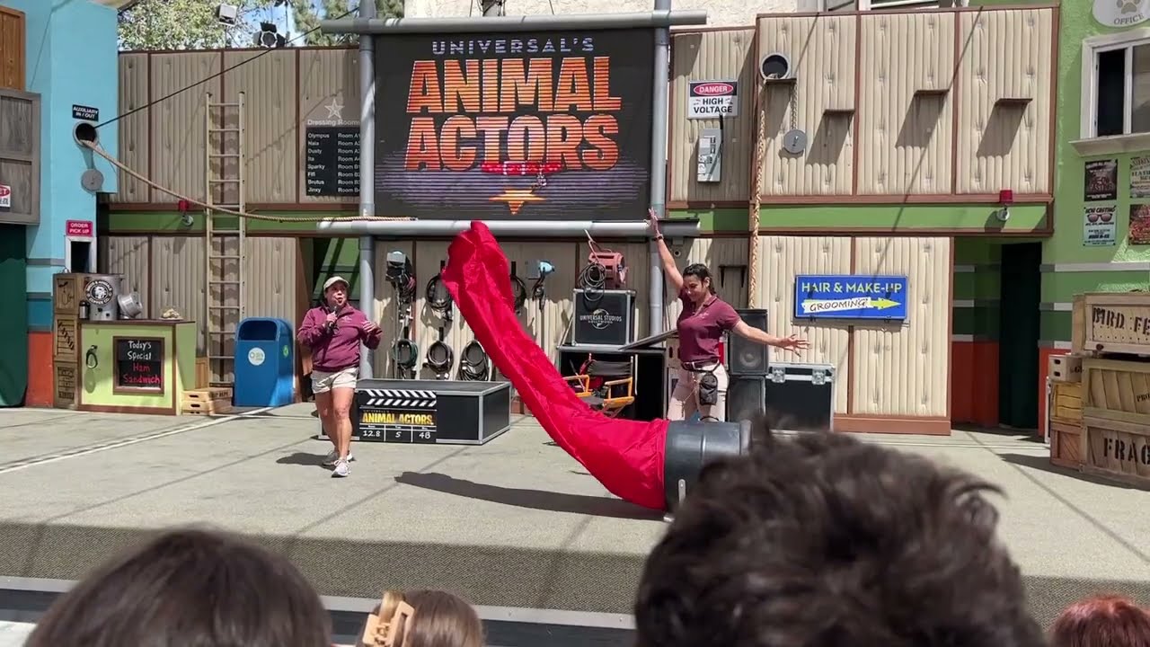Animal Actors Show at Universal Studios in Hollywood, CA May 2022 #154