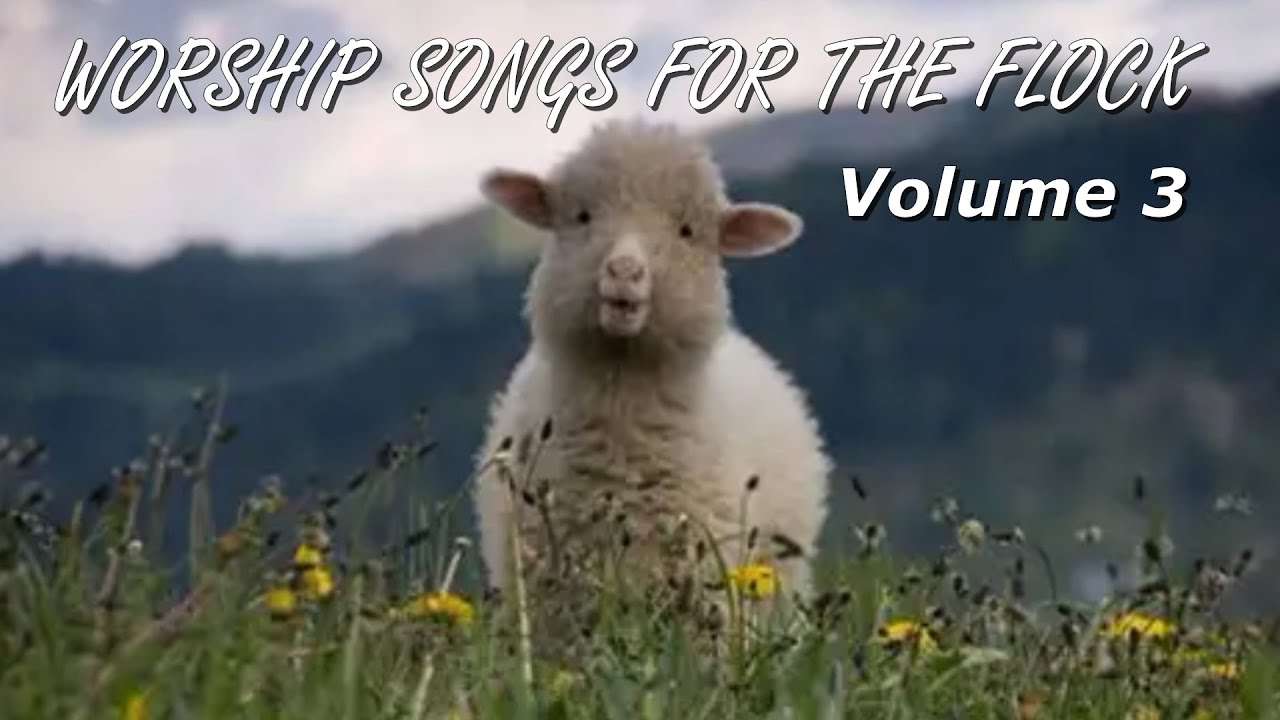 WORSHIP SONGS FOR THE FLOCK - VOLUME 3