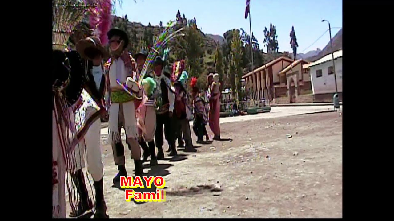 HUAYLIA MOLLEBAMBINA FAMILIA ASTO DONGO  2008