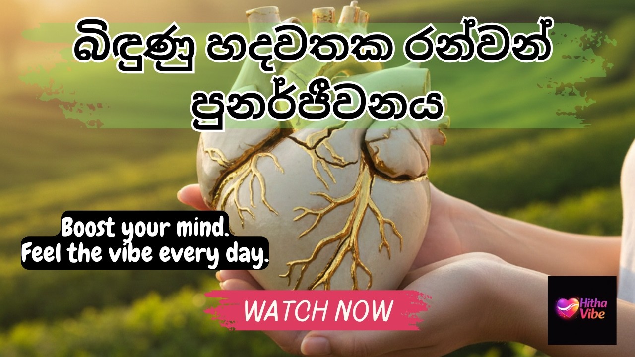 බිඳුණු හදවතක රන්වන් පුනර්ජීවනය - Hitha Vibe