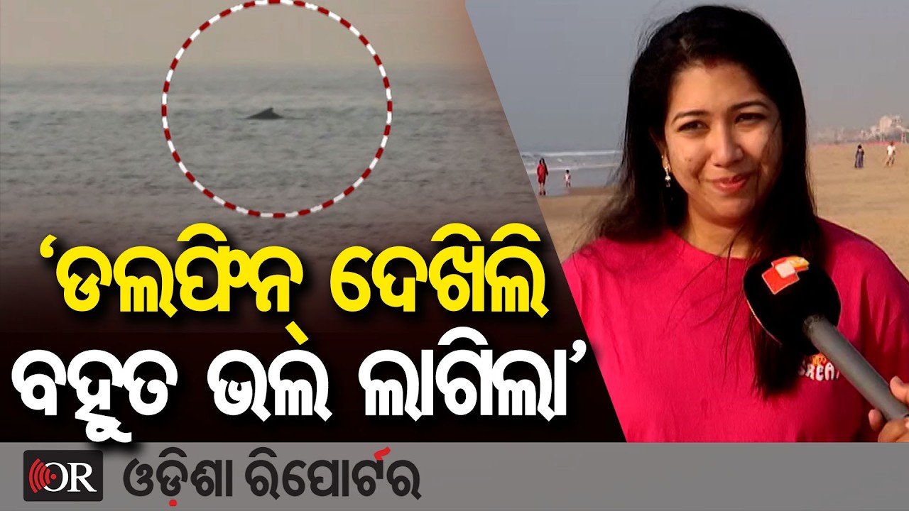 'ଡଲଫିନ୍ ଦେଖିଲି ବହୁତ ଭଲ ଲାଗିଲା' | Odisha Reporter