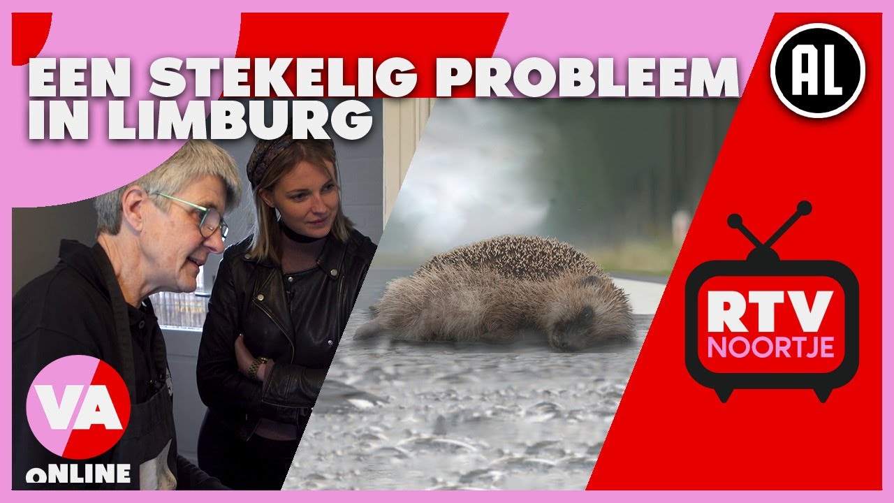 Egelopvang Stein in nood! | RTV Noortje #7 | De Vooravond