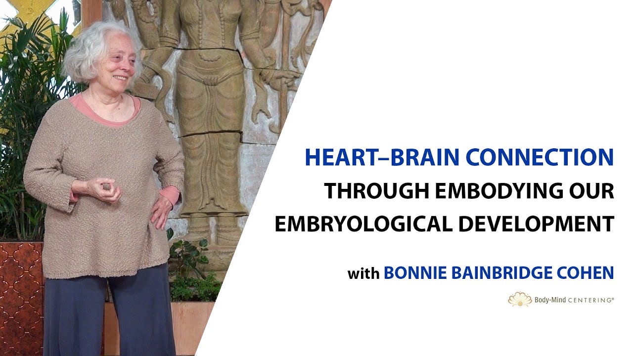 Heart–Brain Connection through Embodying Our Embryological Development