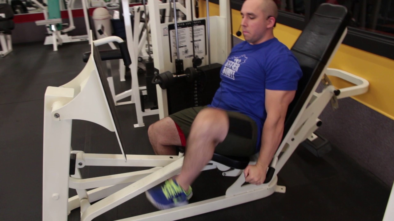 Seated Leg Press - Cybex