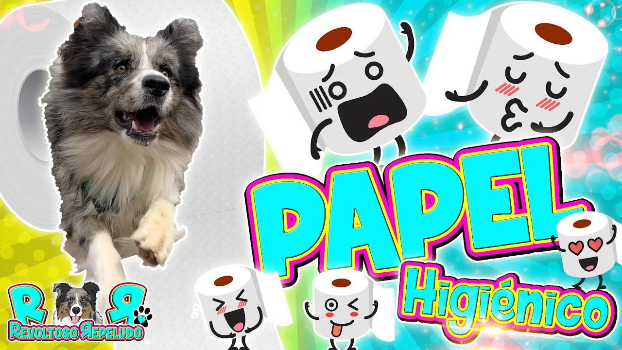 Cómo reacciona mi PERRO al PAPEL HIGIÉNICO challenge 🧻 Reto Las Aventuras de Lana 💘 con REVOLTOSA