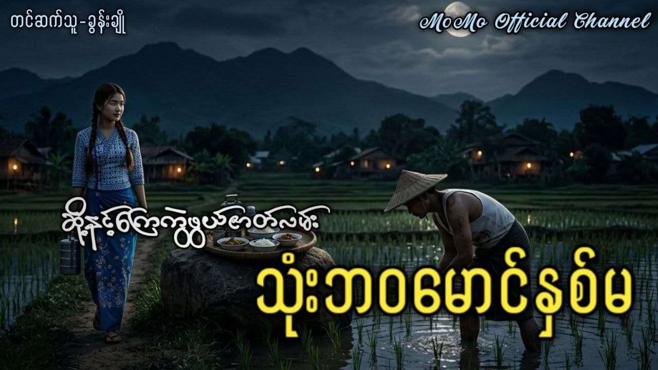 ဆို့နင့်ကြေကွဲဖွယ်ဇာတ်လမ်း (သုံးဘဝမောင်နှစ်မ)