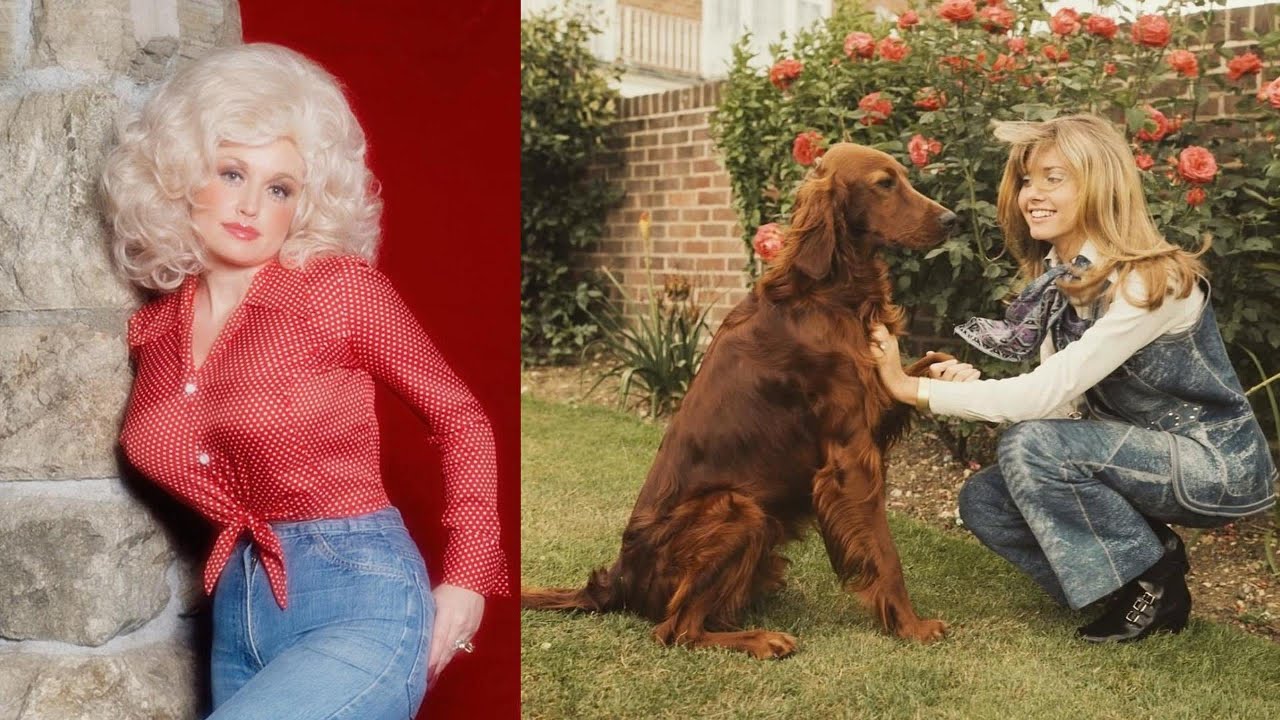 50 Hidden Celebrity Photos Time Forgot | Rare Archive Collection