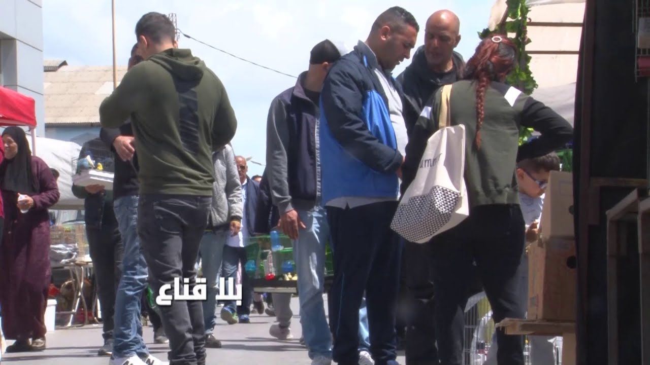 انواع نادرة للعصافير من كوبل الحب للتكساس..أكثر من خمسين نوع معروضة للمغرومين والسعر بعشرين د فمافوق