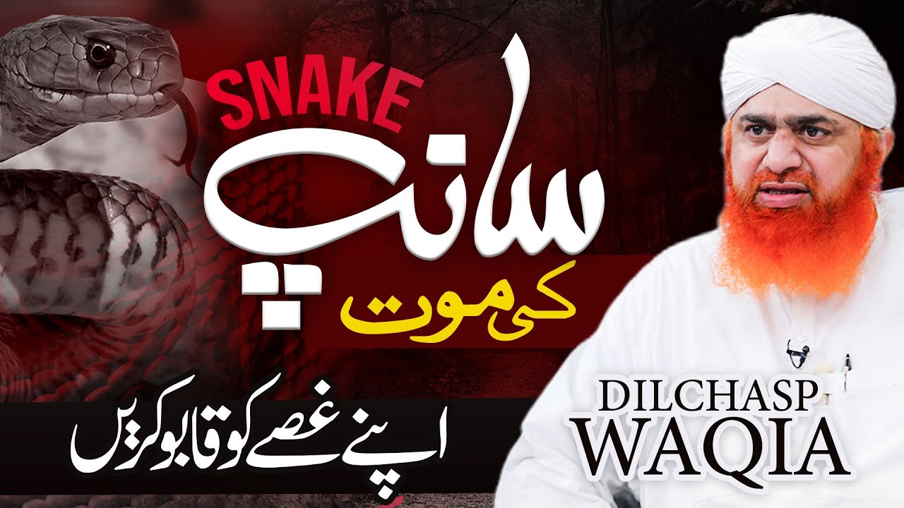 Saanp Ki Maut Ka Waqia | How to control your ANGER | Gusse Par Kabu Karna Seekho | Haji Imran Attari