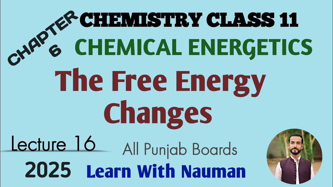 The Free Energy Changes || Chapter 6 || Chemical Energetics || Chemistry 11