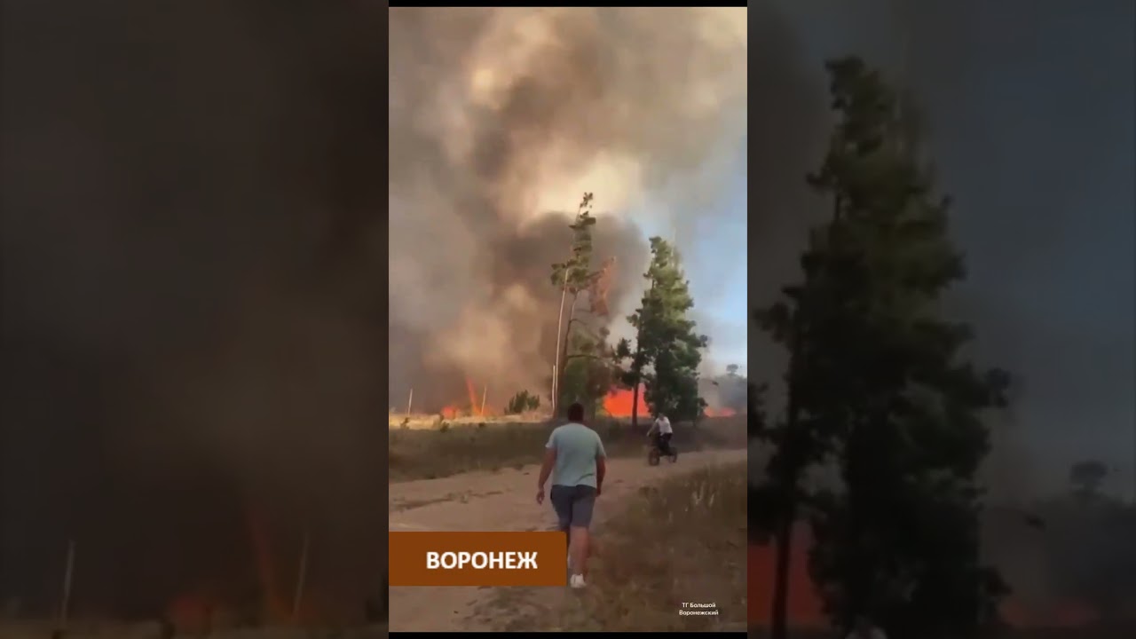Воронеж. В районе села Ямное мощно горит лес.