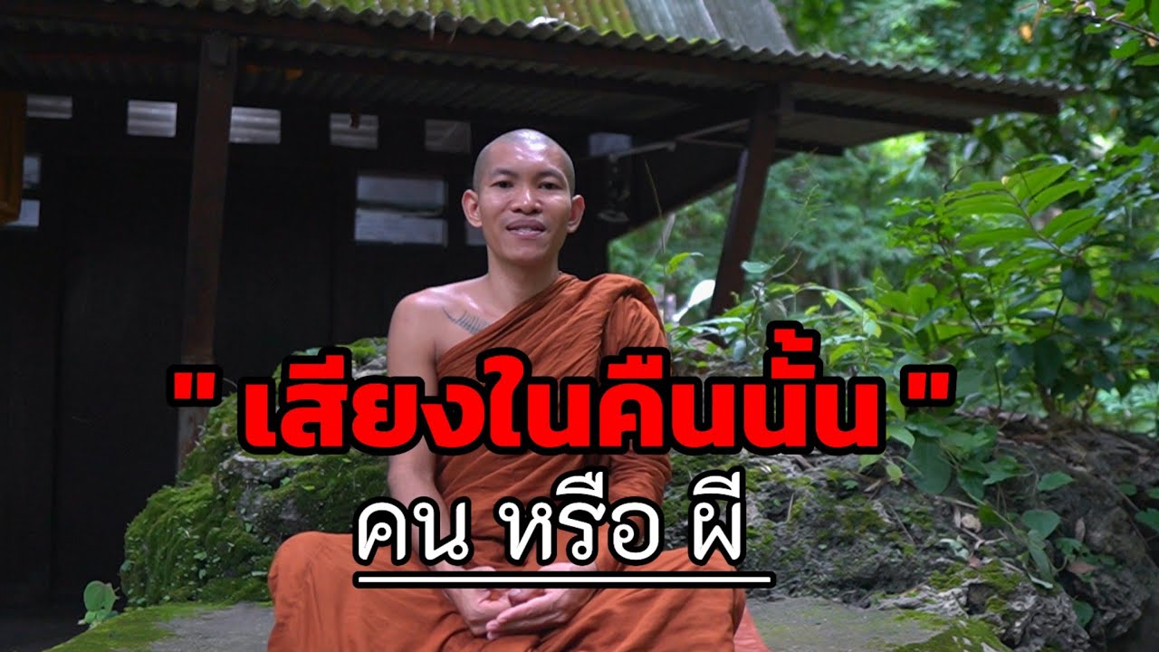 เสียงจากป่าช้าร้างในคืนนั้น คนหรือผี
