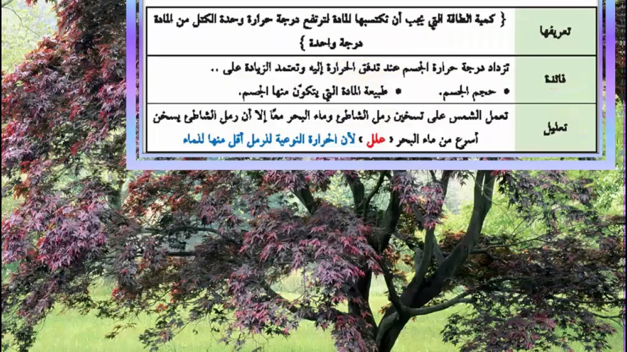 الحرارة   الطاقة الحرارية والحرارة النوعية