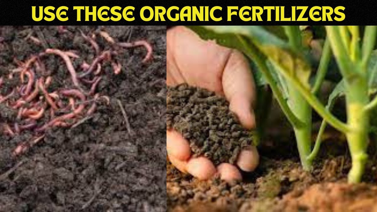 Boost Crop Yields with These 7 Organic Fertilizers