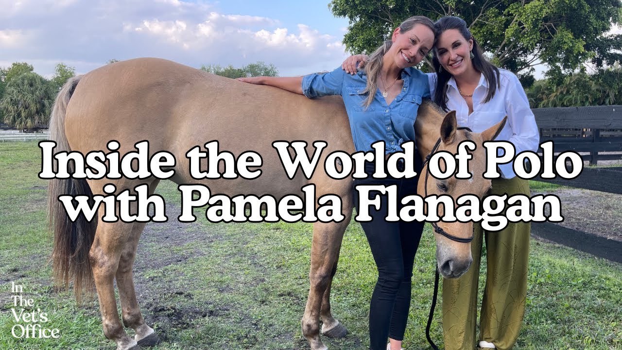 Inside the World of Polo with Pamela Flanagan Devaleix