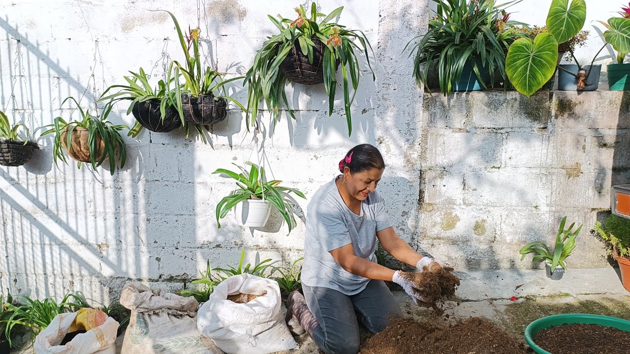 ABONOS Super Especiales y Económicos para Nuestras Plantas 🌺🌿🌾// Estiércol de Ganado//Gallinaza