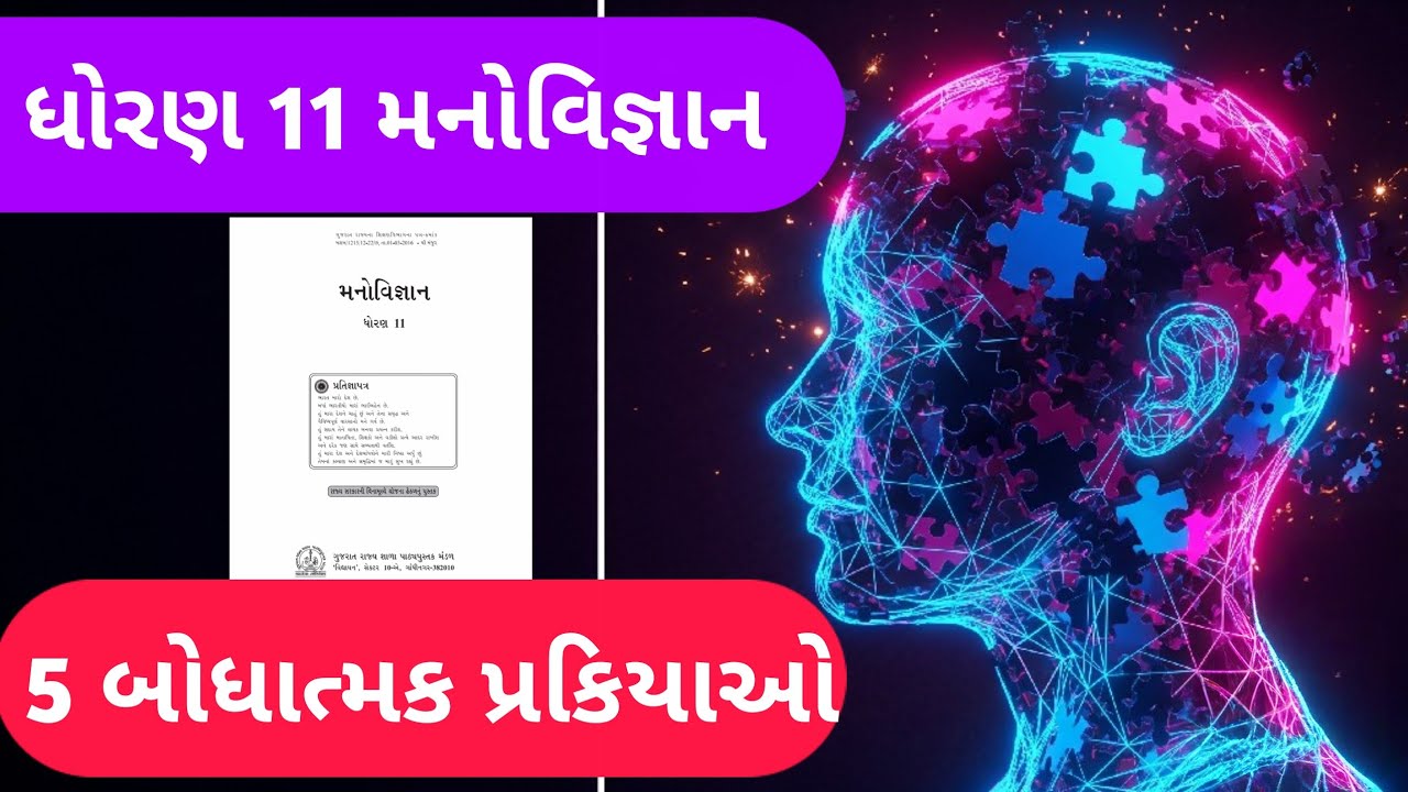 5 બોધાત્મક પ્રક્રિયાઓ