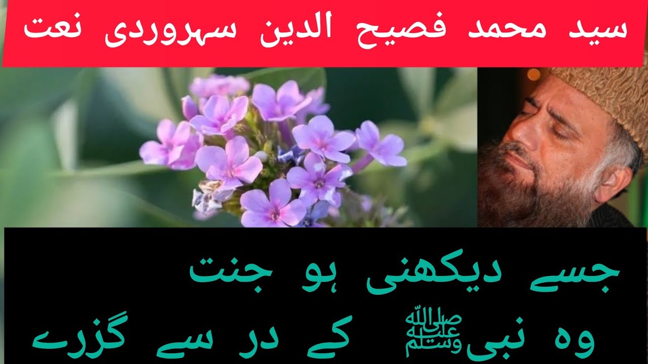 Fassihuddin Soharwardi|Famous Naat||Jisy Daikhni Ho Jannat Wo Nabi K Dar Se Guzre|جسے دیکھنی ہو جنت💞