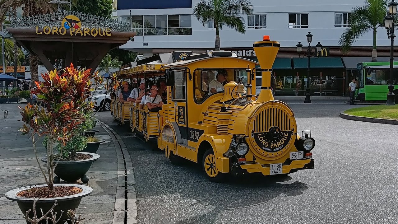 Puerto de la Cruz, City tour with the tourist train