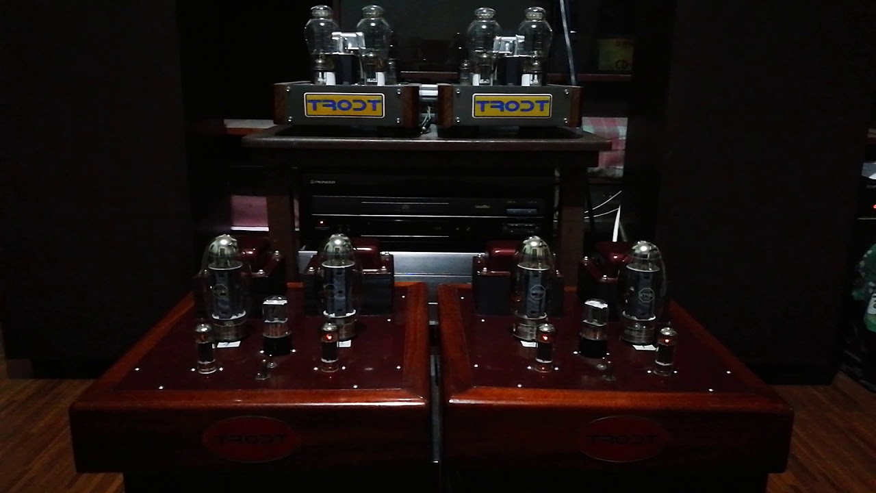 Trodt KT150 Pushpull Amplifier (Monoblock)