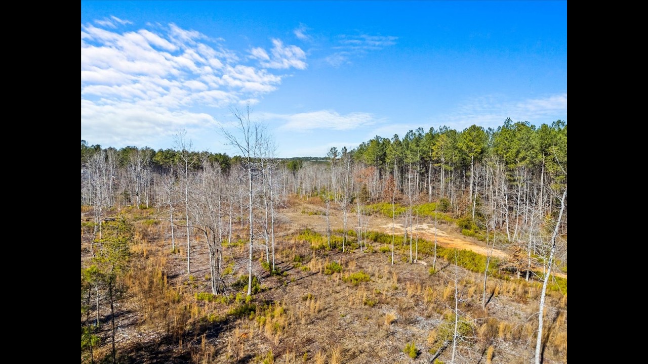 Equestrian-Friendly 12+ Acres in Belton SC | Cleared Homesite