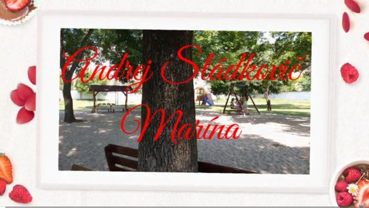 A.Sládkovič - Marína (8.A trieda) 📖