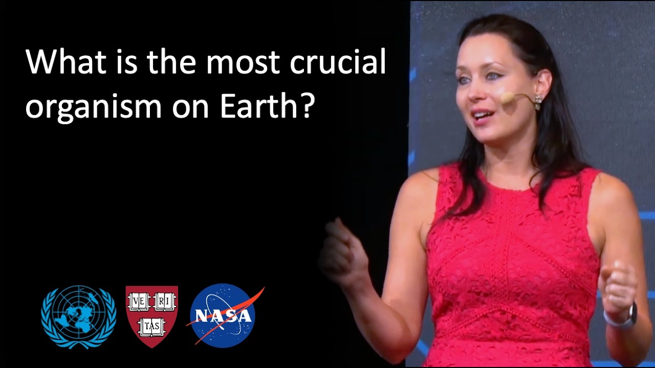 Earth's Key Creature is Invisible - but Seen from Space?!