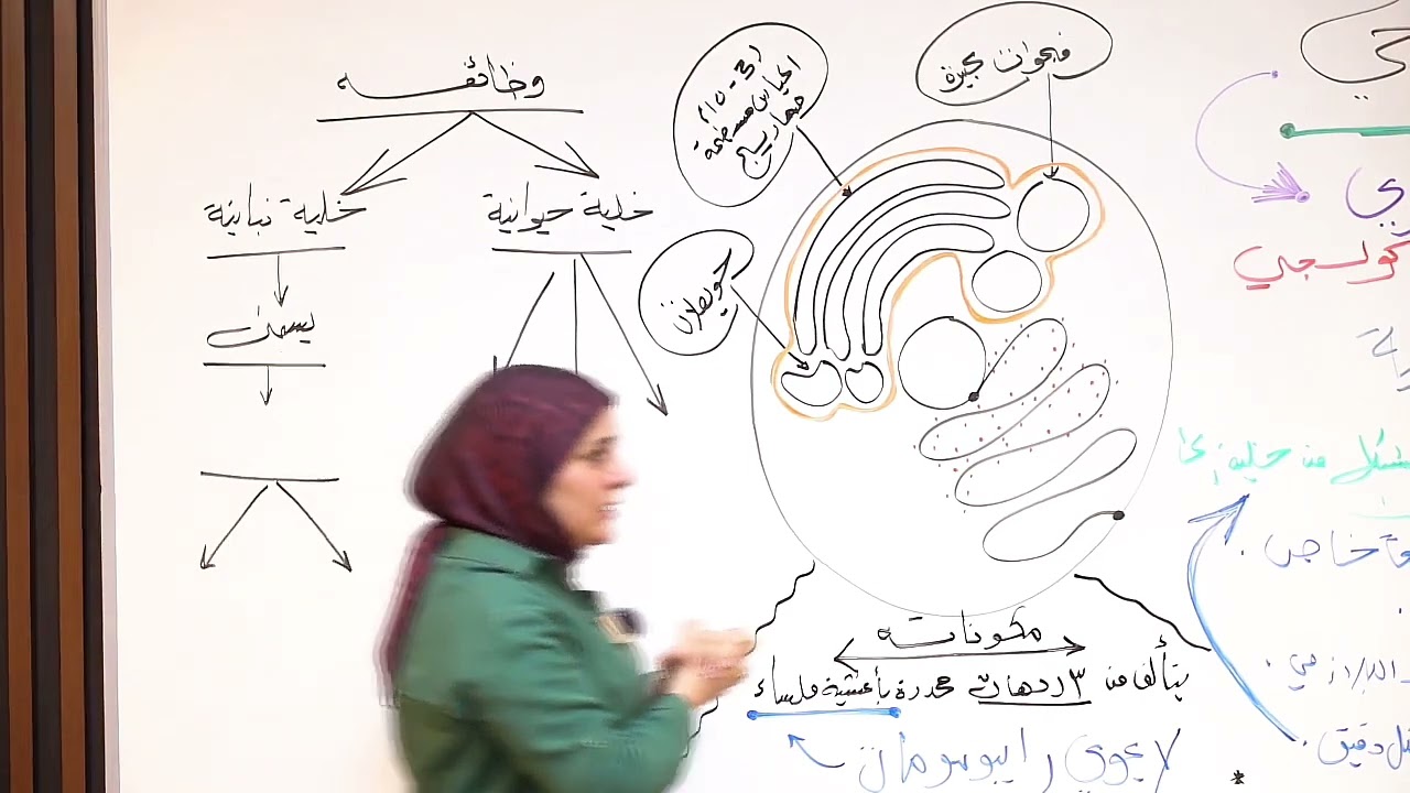 ست نورا الدايني الأحياء الفصل الأول المحاضره رقم 5-جهاز كولجي