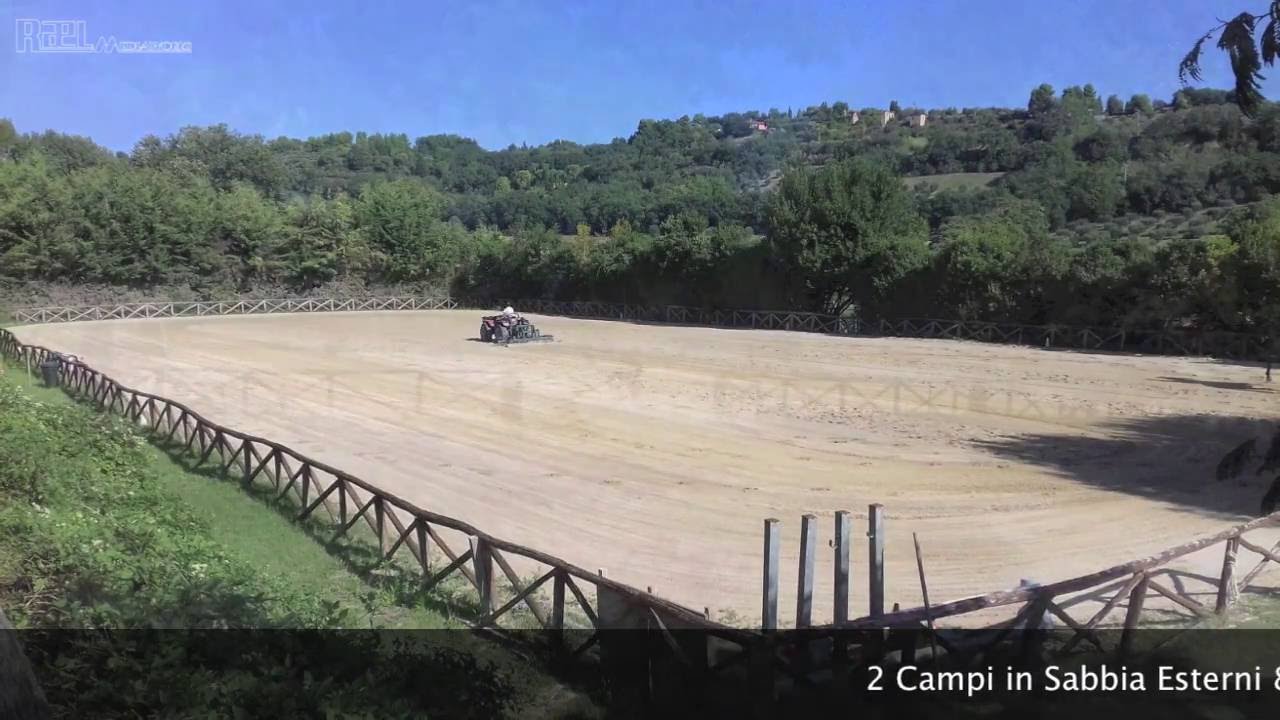 PCR Reining Horses -  * Il Nostro Spazio * La Nostra Casa *