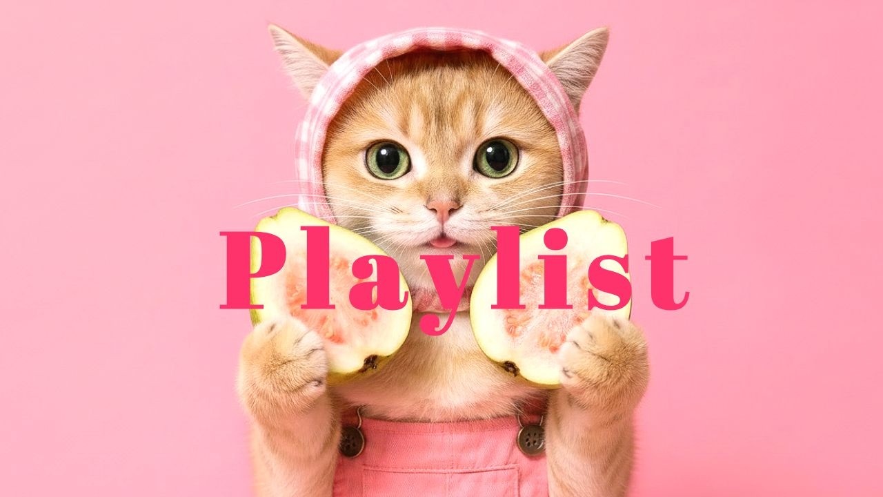 [Playlist] 출근길에 발걸음이 가벼워지는 플리🌸능률 200% UP  | R&B · Groove POP · 까페 · 공부 · 노동요🎧