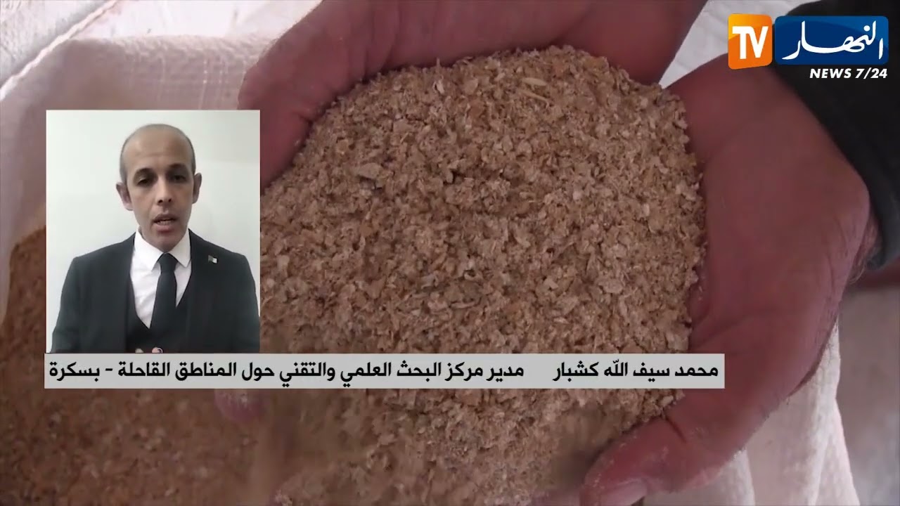 تمور الأغنام.. حين تتحول البحوث العلمية إلى حلول تخدم القرار الحكومي