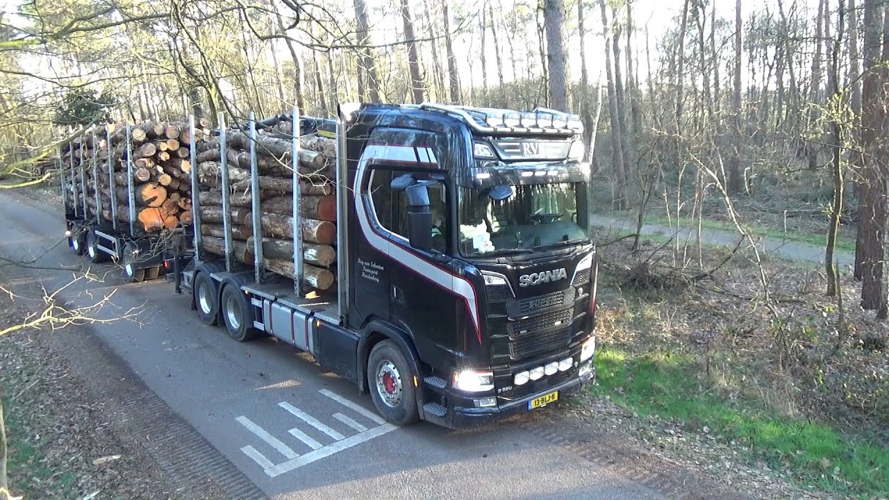 RVS transporting wood